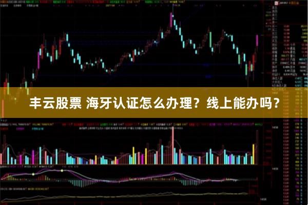 丰云股票 海牙认证怎么办理？线上能办吗？